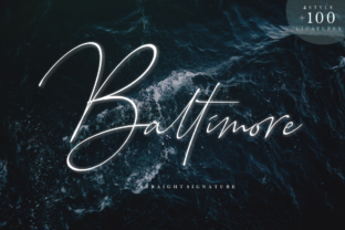 Baltimore Family: A Modern Script Handwritten Font for Real Branding