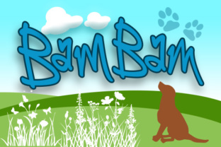 BamBam: A Playful Script Font for Creative Product Design