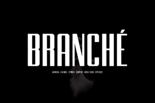 Branche: A Timeless Sans Serif Font for Modern Design