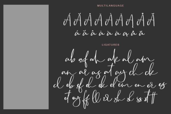 Camsay: A Fresh Handmade Calligraphy Font for Small Business Branding