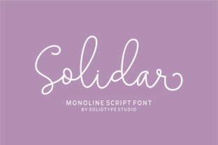 Discover the Power of Solidar in Modern Web Design