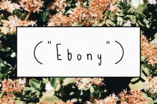 Ebony Script Handwritten Font for Cute & Simple Branding