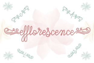 Efflorescence: The Script Font That Elevates Your Digital Brand