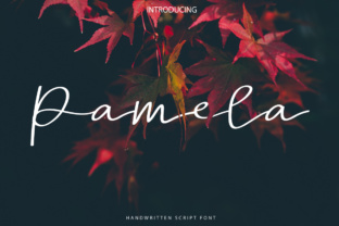 Pamela Script: A Handwritten Font for Upscale Editorial Design