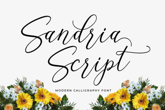 Sandria Script Font for Feminine, Trendy Branding