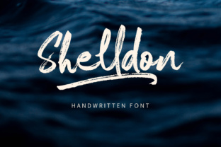 Shelldon: A Font for Warmth and Storytelling