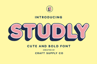 Studly Family: A Bold Sans Serif Font for Impactful Branding